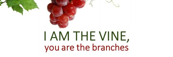 I am the vine you are the branches - large