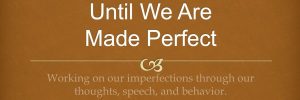until-we-are-made-perfect.jpg