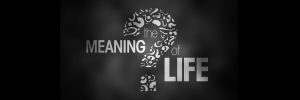 meaning-of-life-banner.jpg