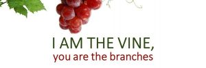 I-am-the-vine-you-are-the-branches-large-600x200.jpg